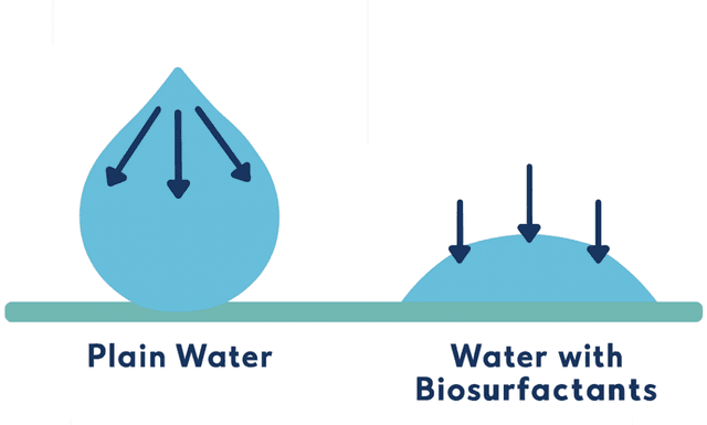 Surface tension comparison showing plain water vs water with biosurfactants